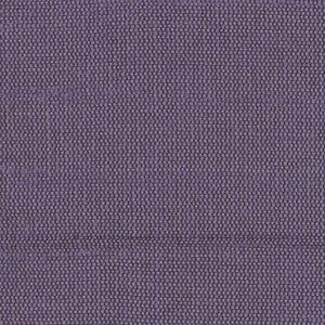 Succulent Plum by Carole Fabric