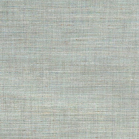 Prodigy Seaspray by Carole Fabric Best Dressed 100% Polyester 30,000 Wyzenbeek Double Rubs None 55" - Fabric Carolina -