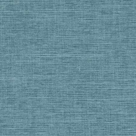Big Thinker Lake by Carole Fabric Power Play 100% Polyester N/A None 55" - Fabric Carolina -