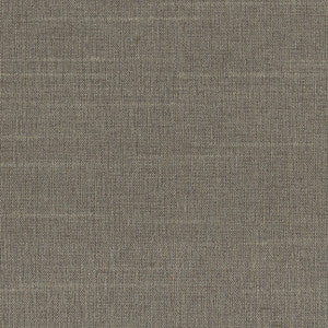 Succulent Cement by Carole Fabric
