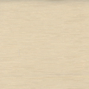 First Novel Ivory by Carole Fabric