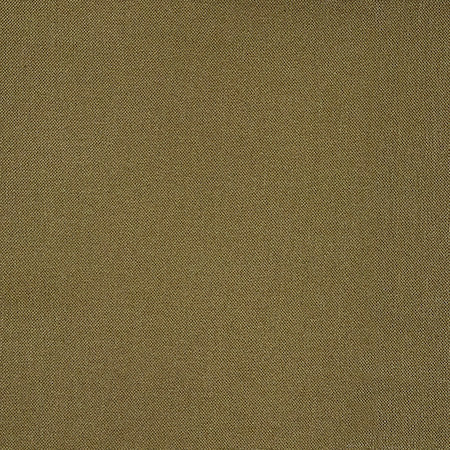 Reform Olive by Carole Designer Fabric Reclamation 100% Recycled Polyester 50,000 Wyzenbeek Double Rubs None 54" - Swanky Fabrics -