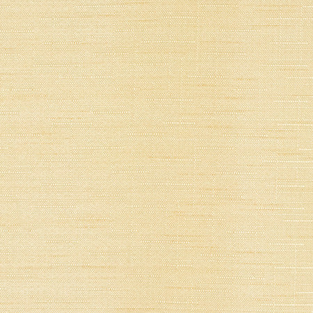 Banksville Manila by Carole Fabric Power Play 100% Polyester 24,000 Wyzenbeek Double Rubs None 54" - Fabric Carolina -