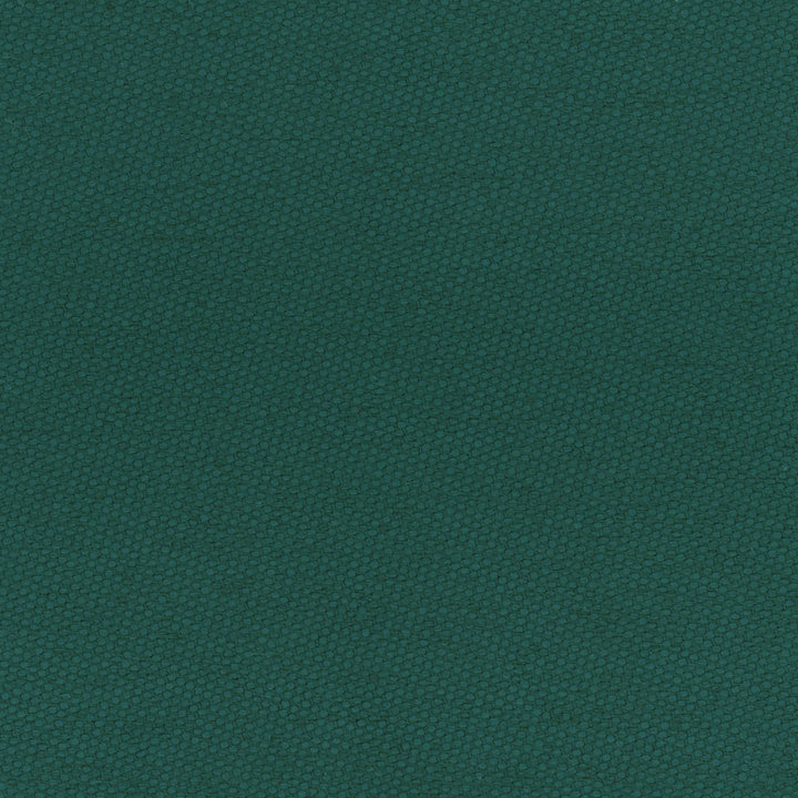 Fact Finder Pine by Carole Fabric Celadon 100% Polyester Turkey Passes 40,000 Double Rubs Wyzenbeek Horizontal: 0 and Vertical: 0 59 - Fabric Carolina -