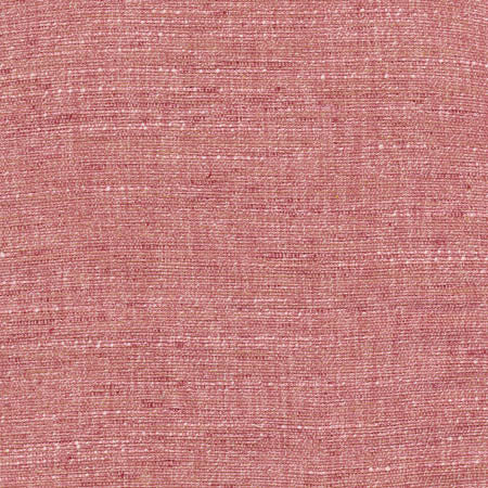 Training Day Rose by Carole Designer Fabric Sunbaked 92% Polyester, 8% Cotton INDIA N/A None 54" - Swanky Fabrics -