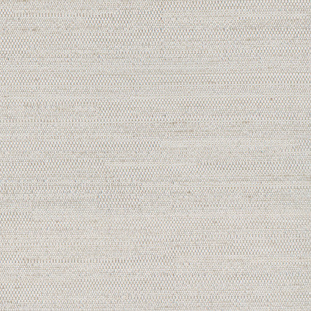 Aiden Dove by Carole Fabric Aiden Gallery,Subtle Hints 100% Polyester INDIA PASSES 30,000 DOUBLE RUBS WYZENBEEK </p><p>Repeat: None 56" - Fabric Carolina -