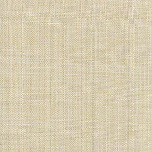 Sightsee Taupe by Carole Fabric