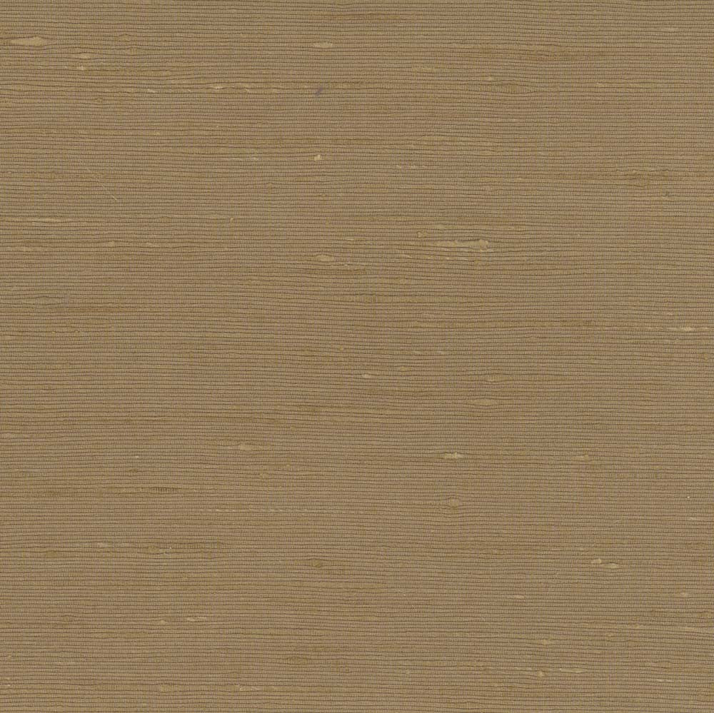 Lydia Bisque by Carole Fabric Lydia Ii 100% Polyester India N/A Horizontal: 0 and Vertical: 0 54 - Fabric Carolina -