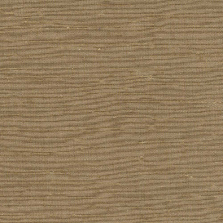 Lydia Bisque by Carole Fabric Lydia Ii 100% Polyester India N/A Horizontal: 0 and Vertical: 0 54 - Fabric Carolina -