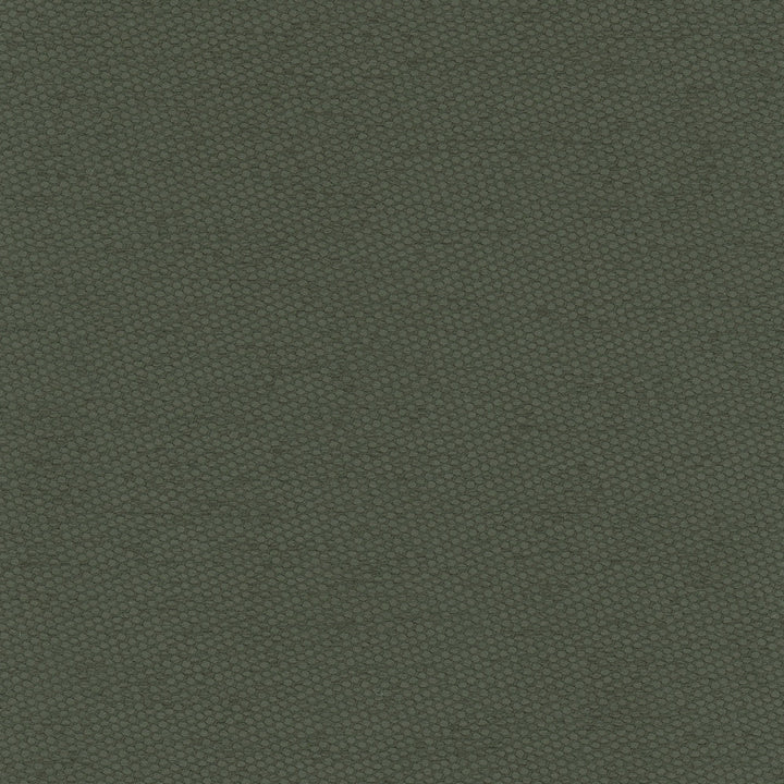 Fact Finder Seaweed by Carole Designer Fabric Celadon 100% Polyester Turkey Passes 40,000 Double Rubs Wyzenbeek Horizontal: 0 and Vertical: 0 59 - Swanky Fabrics -
