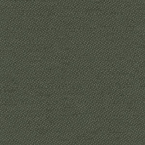 Fact Finder Seaweed by Carole Fabric