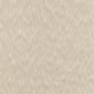 Ahead Of The Game Cement by Carole Fabric