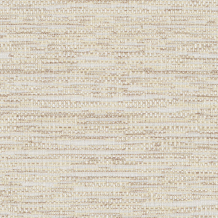 Front Tuck Natural by Carole Designer Fabric Excursion 56% Polyester, 44% Cotton India 22,500 Wyzenbeek Double Rubs Horizontal: 0 and Vertical: 0 55.75 - Swanky Fabrics -