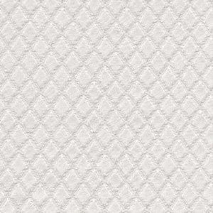 Hackamore Snow White by Carole Fabric