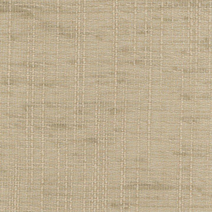 Slow Down Biscotti by Carole Fabric Come Home 100% Polyester India N/A Horizontal: 0 and Vertical: 0 54 - Fabric Carolina -