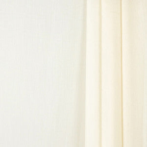 Today Only Biscuit By Carole Fabric