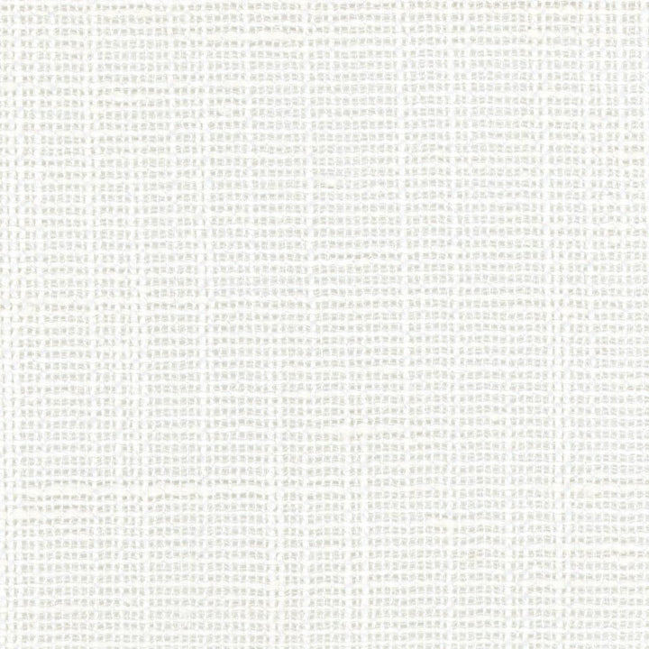 Slow Down Coconut by Carole Fabric Come Home 100% Polyester India N/A Horizontal: 0 and Vertical: 0 54 - Fabric Carolina -
