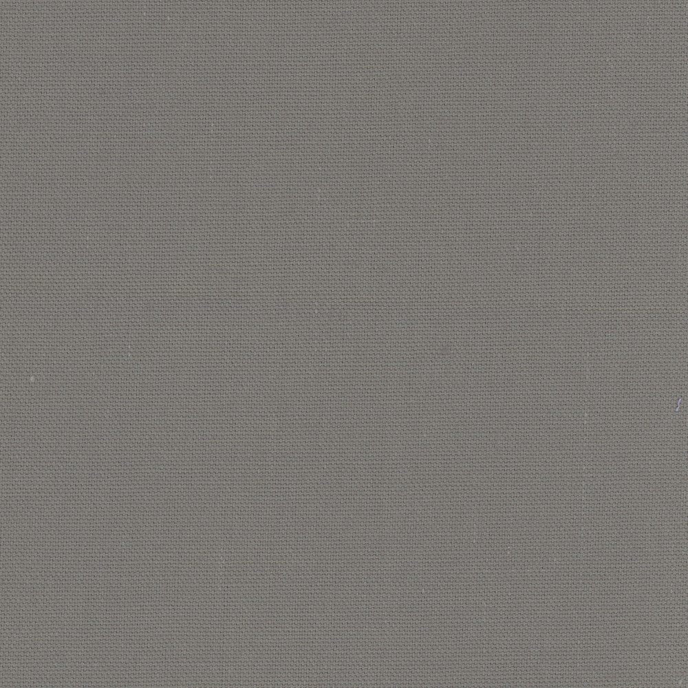 Daydreamer Ash Grey by Carole Fabric Daydreaming 100% Cotton- Soil Release USA Passes 30,000 Double Rubs Wyzenbeek Horizontal: 0 and Vertical: 0 54 - Fabric Carolina -