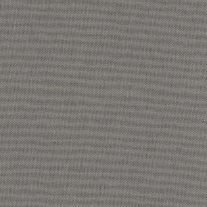 Daydreamer Ash Grey by Carole Fabric Daydreaming 100% Cotton- Soil Release USA Passes 30,000 Double Rubs Wyzenbeek Horizontal: 0 and Vertical: 0 54 - Fabric Carolina -