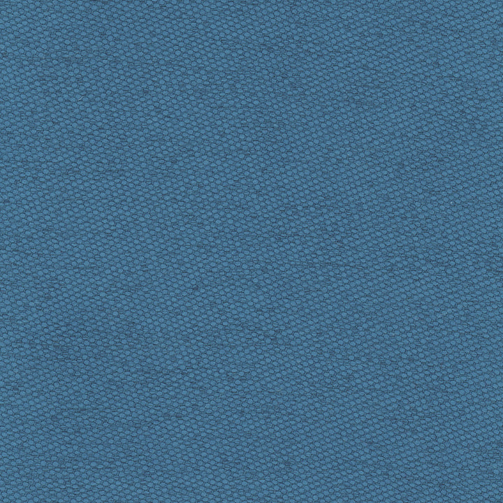 Fact Finder Ocean by Carole Fabric Cadet 100% Polyester Turkey Passes 40,000 Double Rubs Wyzenbeek Horizontal: 0 and Vertical: 0 59 - Fabric Carolina -