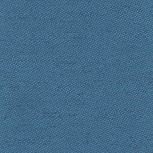 Fact Finder Ocean by Carole Fabric