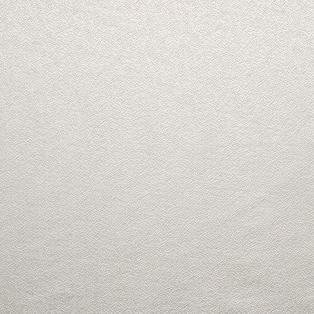 Gravel Path Pearl Grey by Carole Fabric State Of The Art 100% Polyester INDIA  None 54"  - Fabric Carolina -
