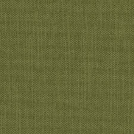 Liberty Forest by Carole Designer Fabric Liberty II 100% Polyester India 50,000 Wyzenbeek Double Rubs None 54" - Swanky Fabrics -