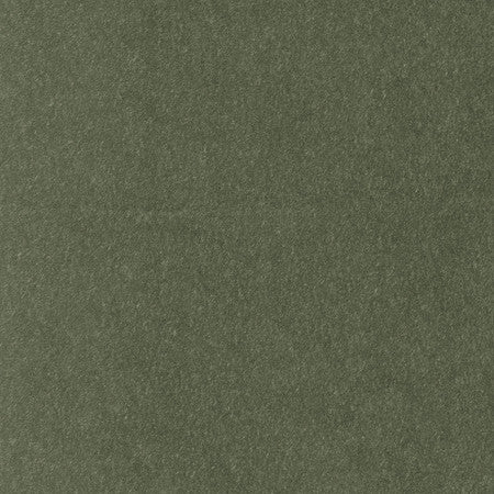 <p>Wolf Pesto by Carole Fabric</p><p><strong>Required Minimum Quantity Purchase: 2 yards</strong></p><p>Book: Warm Embrace</p><p>Content: 87% Polyester, 13% Linen-Acrylic Backing</p><p>Origin: </p><p>Performance: 50,000 Wyzenbeek Double Rubs</p><p>Repeat: None</p><p>Width: 56 1/4""</p>
