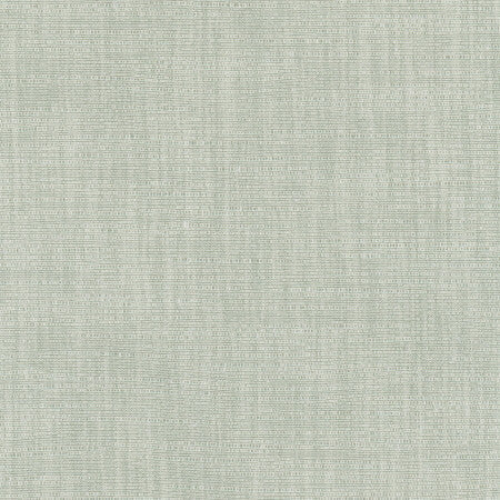 Athlete Ivy by Carole Fabric Celadon 60% Cotton, 40% Polyester India Passes 50,000 Double Rubs Wyzenbeek Horizontal: None and Vertical: None 55" - Fabric Carolina -