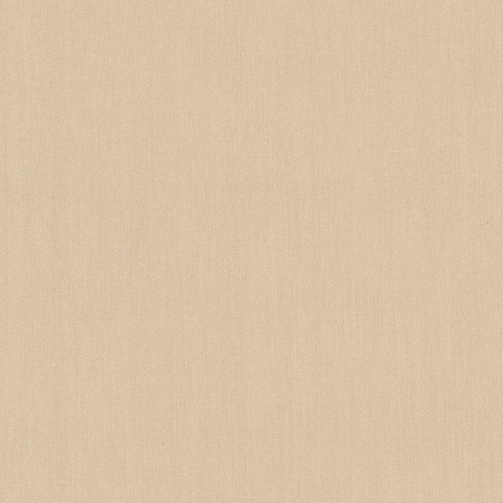 Comfort Oatmeal by Carole Fabric Daydreaming 100% Cotton India Passes 21,000 Double Rubs Wyzenbeek Horizontal: 0 and Vertical: 0 54 - Fabric Carolina -