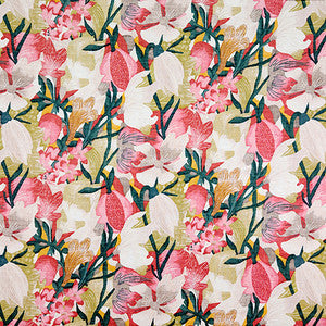 Juanita Watermelon by Carole Fabric