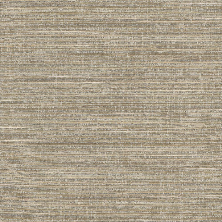 Stacked Cards Birch by Carole Fabric Stationery 69% Polyester, 31% Viscose India Passes 15,000 Double Rubs Wyzenbeek Horizontal: 0 and Vertical: 0 54 - Fabric Carolina -