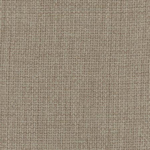 Director's Cut Doeskin by Carole Fabric