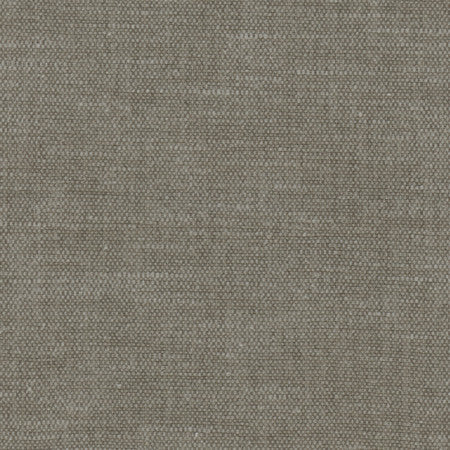 <p>Bessarion Wolf by Carole Designer Fabric</p><p><strong>Required Minimum Quantity Purchase: 2 yards</strong></p><p>Book: Prominence,Desert Sands</p><p>Content: 71% Polyester, 29% Cotton</p><p>Origin: </p><p>Performance: 15,000 Wyzenbeek Double Rubs</p><p>Repeat: None</p><p>Width: 55"</p>