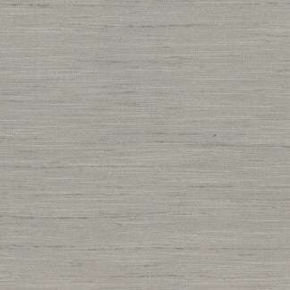 So Far Dove by Carole Fabric Texture Theory 100% Polyester India  None 55"  - Fabric Carolina -
