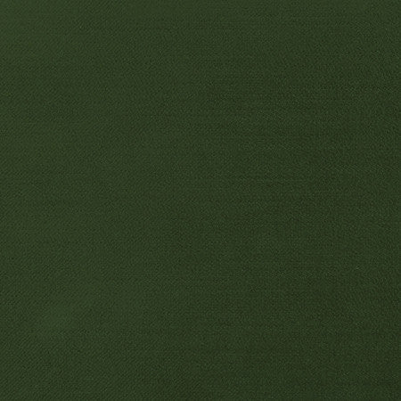 <p>Regal Touch Kale by Carole Fabric</p><p><strong>Required Minimum Quantity Purchase: 2 yards</strong></p><p>Book: Touch Of Luxury,Warm Embrace</p><p>Content: 100% Polyester</p><p>Origin: </p><p>Performance: 15,000 Wyzenbeek Double Rubs</p><p>Repeat: None</p><p>Width: 55"</p>