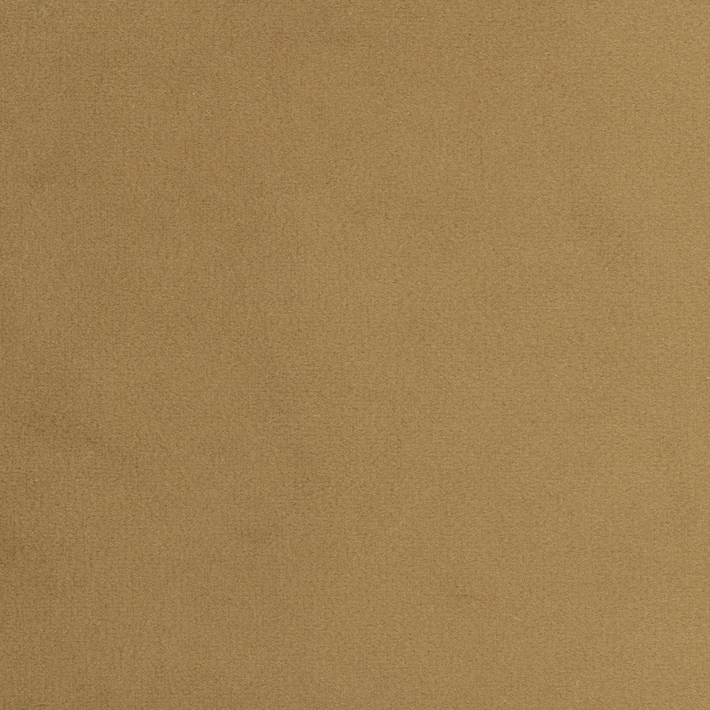 Plush Touch Camel by Carole Fabric Touch Of Luxury 100% Polyester Knit Backing China 235,000 Wyzenbeek Double Rubs Horizontal: 0 and Vertical: 0 55 - Fabric Carolina -