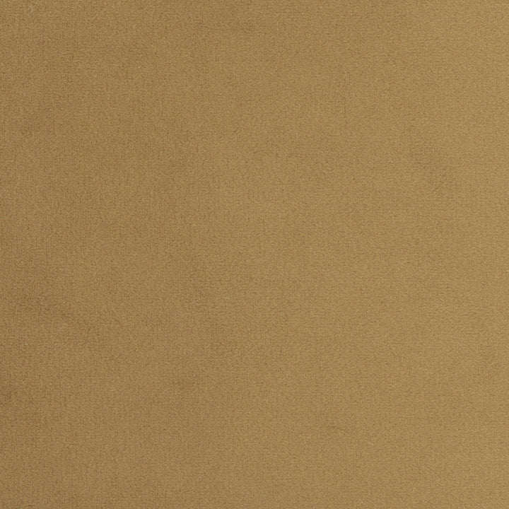 Plush Touch Camel by Carole Fabric Touch Of Luxury 100% Polyester Knit Backing China 235,000 Wyzenbeek Double Rubs Horizontal: 0 and Vertical: 0 55 - Fabric Carolina -