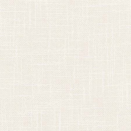 As Always Coconut by Carole Fabric See It Through 100% Polyester Turkey N/A None 55.5"  - Fabric Carolina -