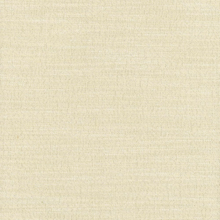 Say Yes Shimmer by Carole Designer Fabric Winner'S Circle 78% Polyester, 22% Viscose India N/A Horizontal: 0 and Vertical: 0 55 - Swanky Fabrics -
