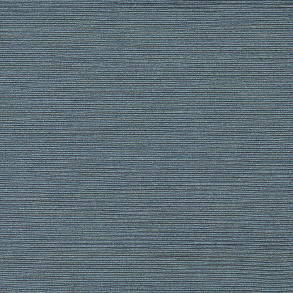First Novel Cerulean by Carole Fabric Stationery 72% Rayon, 28% Polyester China Passes 30,000 Double Rubs Wyzenbeek Horizontal: 0 and Vertical: 0 55 - Fabric Carolina -