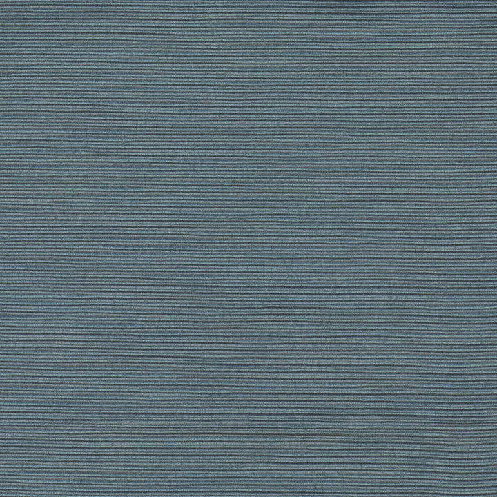 First Novel Cerulean by Carole Fabric Stationery 72% Rayon, 28% Polyester China Passes 30,000 Double Rubs Wyzenbeek Horizontal: 0 and Vertical: 0 55 - Fabric Carolina -