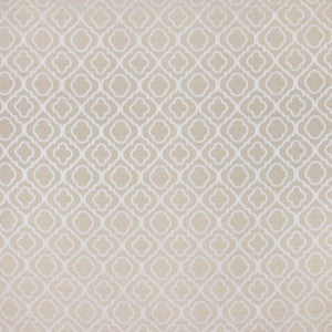 Chauffeur Service Buff by Carole Fabric