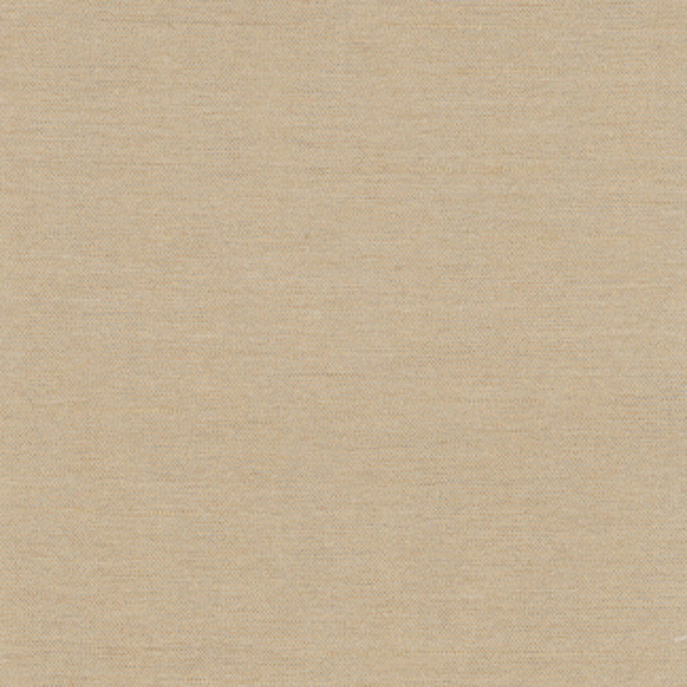 Northwind Tussah by Carole Fabric New Northwind Iv 100% Polyester India Passes 9,000 Double Rubs Wyzenbeek Horizontal: 0 and Vertical: 0 54 - Fabric Carolina -