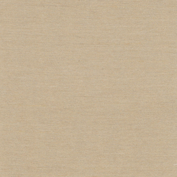 Northwind Tussah by Carole Fabric New Northwind Iv 100% Polyester India Passes 9,000 Double Rubs Wyzenbeek Horizontal: 0 and Vertical: 0 54 - Fabric Carolina -