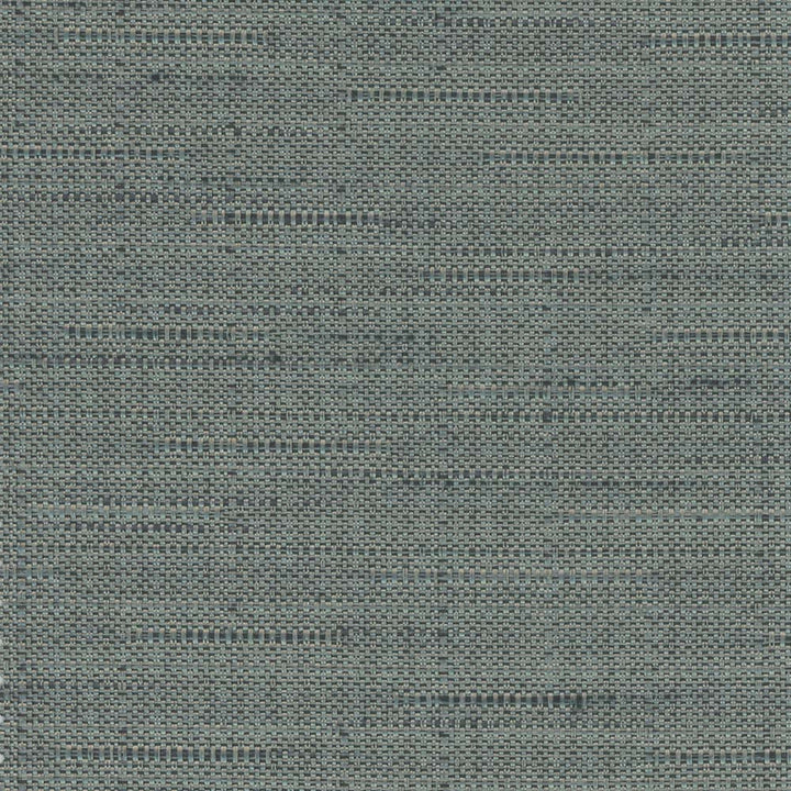 Banksville Dusk by Carole Fabric Bigelow 100% Polyester Mexico Passes 18,000 Double Rubs Wyzenbeek Horizontal: 0 and Vertical: 0 54 - Fabric Carolina -