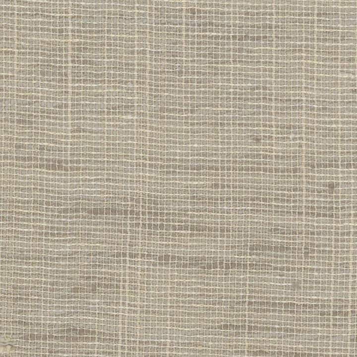Take Care Flax by Carole Fabric Come Home 100% Polyester India N/A Horizontal: 0 and Vertical: 0 54 - Fabric Carolina -