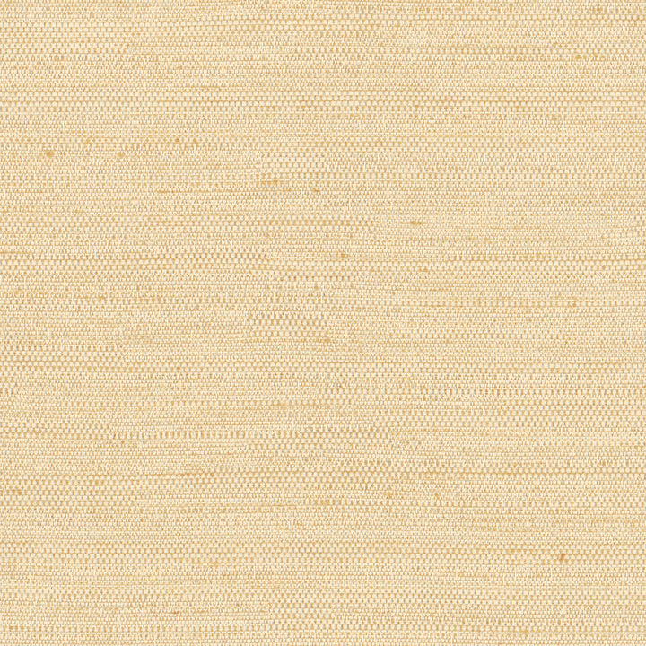 Aiden Bone by Carole Fabric Chestnut 100% Polyester India N/A Horizontal: 0 and Vertical: 0 54 - Fabric Carolina -