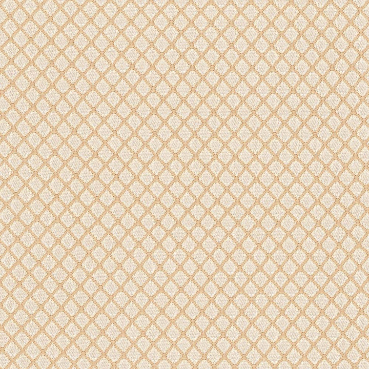 Comment Box Parchment by Carole Fabric Pink Jade 100% Polyester Turkey 18,000 Wyzenbeek Double Rubs Horizontal: 0.25 and Vertical: 0.25 58 - Fabric Carolina -