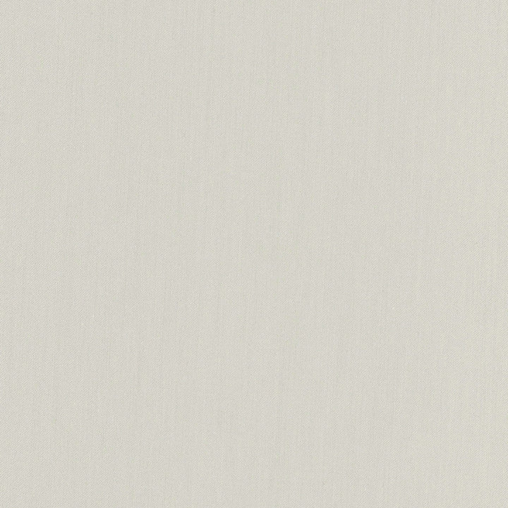 Comfort Cement by Carole Designer Fabric Daydreaming 100% Cotton India Passes 21,000 Double Rubs Wyzenbeek Horizontal: 0 and Vertical: 0 54 - Swanky Fabrics -